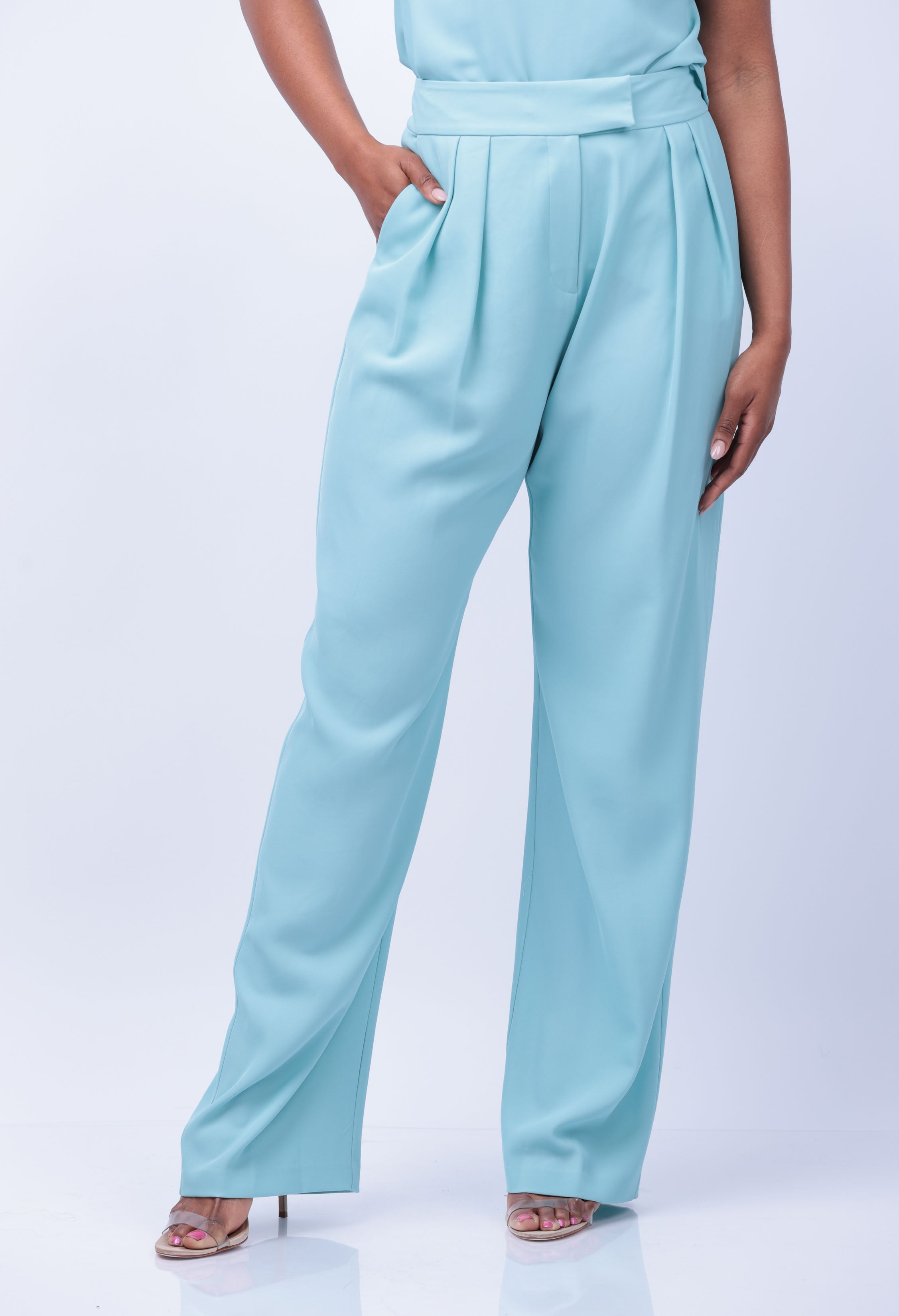 The Sei Double Pleated Trouser in Baby Blue
