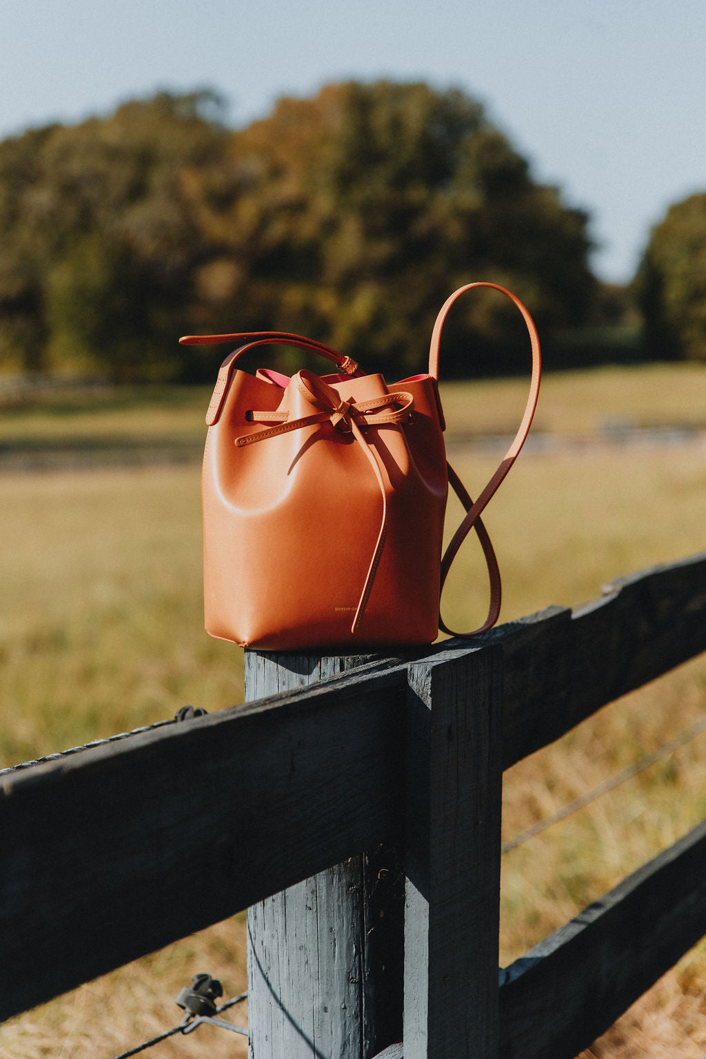 Mansur Gavriel Mini Bucket Bag in Camello Dolly CoatTails